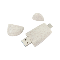 USB flash disk s konektory USB-C a USB-A, k&aacute;men