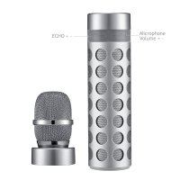 Karaoke Bluetooth reproduktor s mikrofonem, stříbrná barva (SPE068)